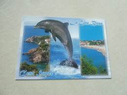 La Côte Bleue - Multi-vues - 3 44867 - Yt 3743 - Editions Sté Pec - Année 2007 - - Dauphins