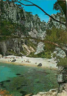 13 - En Vau - Les Calanques - La Plage - CPM - Voir Scans Recto-Verso - Quatieri Sud, Mazarques, Bonneveine, Pointe Rouge, Calanques