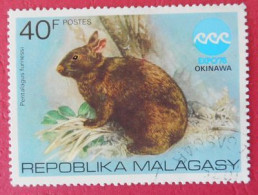 55 Repoblika Malagasy République Malgache Faune Lapin - Rabbits