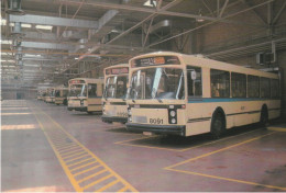 Brussel Autobusgarage In De Remise Te Oudergem - Autobus & Pullman