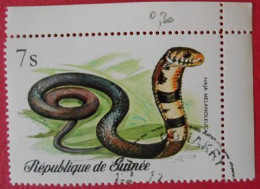 93 République De Guinée Faune Reptile Serpent - Serpenti