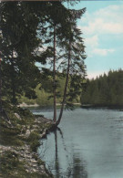 24062 - Clausthal-Zellerfeld - Harz - Waldsee Im Oberharz - 1968 - Clausthal-Zellerfeld