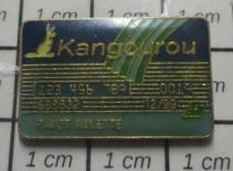 511A Pin's Pins / Beau Et Rare / BANQUES / CARTE KANGOUROU DE ANNETTE PAVOT C'est Stupéfiant ! - Banken