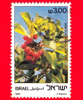 ISRAELE - Usato - 1981 - Alberi Di Terra Santa - Fiori - Arbutus Andrachne - 3.00 - Usados (sin Tab)