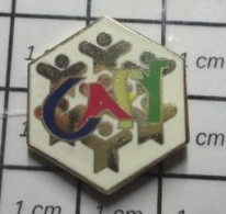 1317 Pin's Pins / Beau Et Rare /  ADMINISTRATIONS / HEXAGONE FRANCE CAFY YONNE ALLOCATIONS FAMILIALES - Amministrazioni