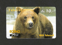 Swiss, Van Teleline, Bear - Suisse