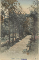 China Hong-Kong - Public Garden Circa 1910 - Chine (Hong Kong)