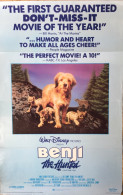 “ BENJI “  A Movie By Walt Disney…....Movie Poster.....100 Cm. X 70 Cm. - Affiches & Posters