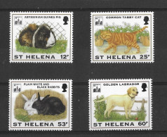 St Helena 1994 MNH Hong Kong 94 Int'l Stamp Exh, Pets Sg 659/62 - Isla Sta Helena