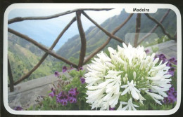 Portugal 2004 Entier Postal Madère Fleur Vue De Fajã De Ovelha Madeira Postal Stationery Flower View From Fajã De Ovelha - Ganzsachen