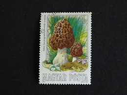 HONGRIE HUNGARY MAGYAR YT 2938 OBLITERE - CHAMPIGNON MUSHROOM / MORILLE - Used Stamps