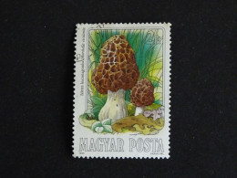 HONGRIE HUNGARY MAGYAR YT 2938 OBLITERE - CHAMPIGNON MUSHROOM / MORILLE - Oblitérés