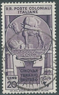 1933 EMISSIONI GENERALI USATO CINQUANTENARIO ERITREO 20 CENT - RA2-3 - Algemene Uitgaven