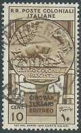 1933 EMISSIONI GENERALI USATO CINQUANTENARIO ERITREO 10 CENT - RA6 - General Issues