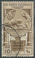 1933 EMISSIONI GENERALI USATO CINQUANTENARIO ERITREO 10 CENT - RA2-3 - Amtliche Ausgaben