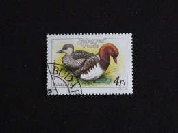 HONGRIE HUNGARY MAGYAR YT 3175 OBLITERE - CANARD DUCK / NETTE ROUSSE - Used Stamps