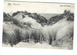Wenduine  Wenduyne  - Dans Les Dunes   1922  STAR 1060 - Wenduine