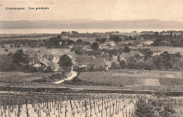 Champagne Vue Générale - Champagne