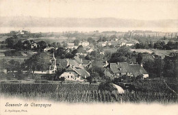 Souvenir De Champagne  1909 - Champagne