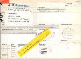 Paesi Bassi (1992) - Bollettino Pacchi Per La Francia - Cartas & Documentos