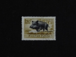 HONGRIE HUNGARY MAGYAR YT PA 144 OBLITERE - SANGLIER WILD BOAR - Usati