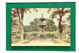 CARTOLINA POSTALE VIAGGIATA 1955 BRIGHTON REGNO UNITO: THE FOUNTAIN, OLD STEINE GARDENS 0152 POSTCARD - Brighton