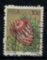 Afrique Du Sud - "Fleurs Diverses : Protea Aristata" - Oblitéré N° 425 De 1977 - Usati