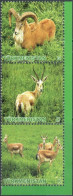 Turkmenistan 2009 "Animals Of Turkmenistan.Ram.Gazelle." 3v Zd Quality:100% - Turkmenistán