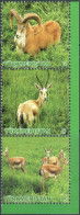 Turkmenistan 2009 "Animals Of Turkmenistan.Ram.Gazelle." 3v Zd Quality:100% - Turkménistan