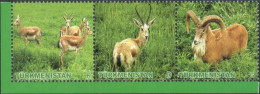 Turkmenistan 2009 "Animals Of Turkmenistan.Ram.Gazelle." 3v Zd Quality:100% - Turkmenistan