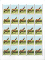 Turkmenistan 2014 "Akhal Teke Stallion" (A Very Rare Sheet Of 25 Stamps.(without Of Face Value) Sheet Quality:100% - Turkmenistan