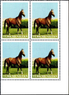 Turkmenistan 2014 "Akhal Teke Stallion"(A Very Rare Stamps.(without Of Face Value) Block Of 4v Stamps.Quality:100% - Turkmenistán