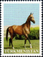 Turkmenistan 2014 "Akhal Teke Stallion" (A Very Rare Stamps Without Of Face Value) 1v. Quality:100% - Turkmenistán