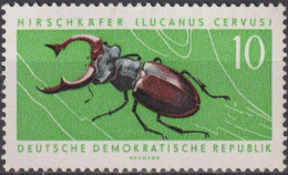 1963 DDR, ** Mi:DD 978, Yt:DD 681, Hirschkäfer (Lucanus Cervus),  Geschützte Tiere - Käfer