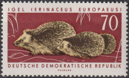 1963 DDR, ** Mi:DD 982, Yt:DD 685, Westeuropäischer Igel (Erinaceus Europaeus), Geschützte Tiere - Gibier
