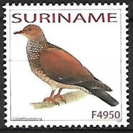 Suriname (Surinam) - MNH ** 2003 :   Scaled Pigeon  -  Patagioenas Speciosa - Piccioni & Colombe