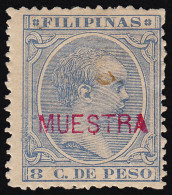 Filipinas Philippines 98 1891/93 Alfonso XIII MH - Filipinas