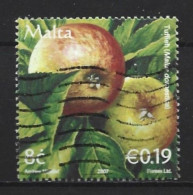 Malta 2007 Fruit  Y.T. 1462 (0) - Malta