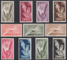 Ifni 103/13 1954 Aves Y Flora Bird MNH - Ifni