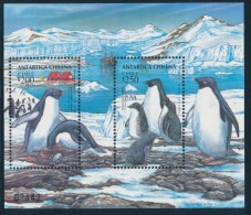CHILE 1993 ANTARTICA CHILENA Adelie Penguins Minisheet** - Faune Antarctique