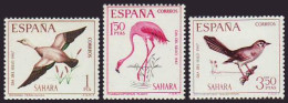 Sahara 262/64 1967 Día Del Sello Fauna (aves). Bird MNH - Sahara Spagnolo