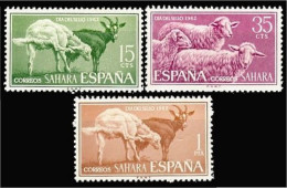 Sahara 212/14 1962 Día Del Sello Cabra-Carneros Fauna MNH - Spanische Sahara