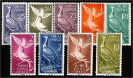 Sahara 180/88 1961 Fauna (aves) Bird MNH - Spaanse Sahara