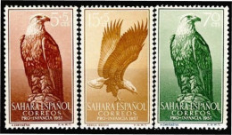 Sahara 139/41 1957 Pro Infancia Fauna (águila) Eagle MNH - Spanish Sahara