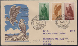 SAHARA 139/41  1957  Pro Infancia Fauna (águila) Eagle SPD Sobre Primer Día - Sahara Spagnolo