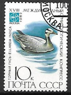 RUSSIE   /   URSS       -      CANARD        -     Oblitéré - Ducks