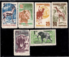 Tanger Telégrafos 65/70 1957 Fauna Animal Camello Léon Tigre Elefante Cambio D - Autres & Non Classés