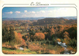 87 - Haute Vienne - Limousin - Forêt De Chaud - CPM - Voir Scans Recto-Verso - Aixe Sur Vienne