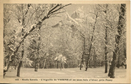 CPA - PASSY (ENV.) - AIGUILLE DE VARENS - SOUS-BOIS D'HIVER - Passy