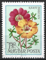 Hungary 1968. Scott #1931 (U) Garden Flowers, Portulaca - Gebraucht